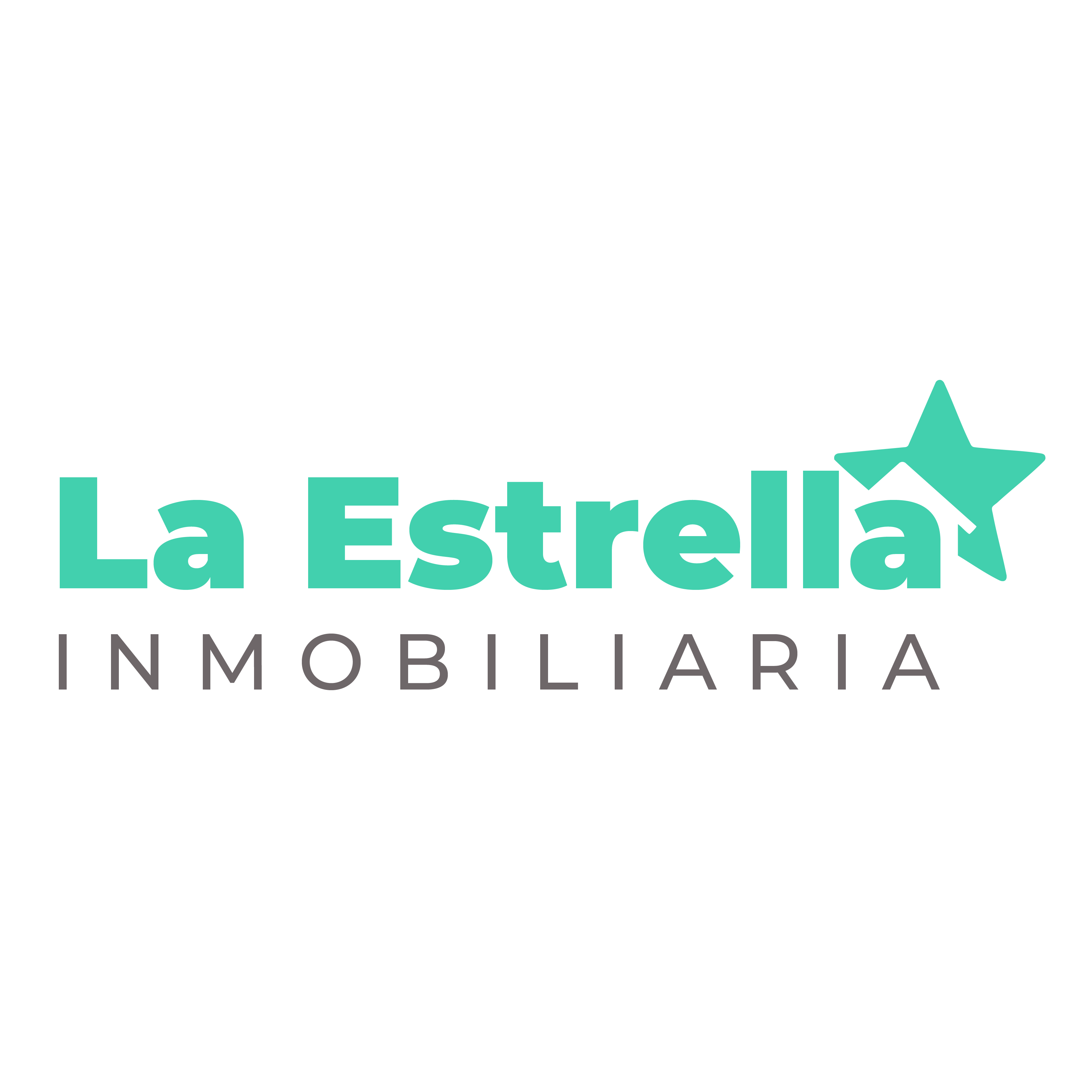 Logo La Estrella Inmobiliaria